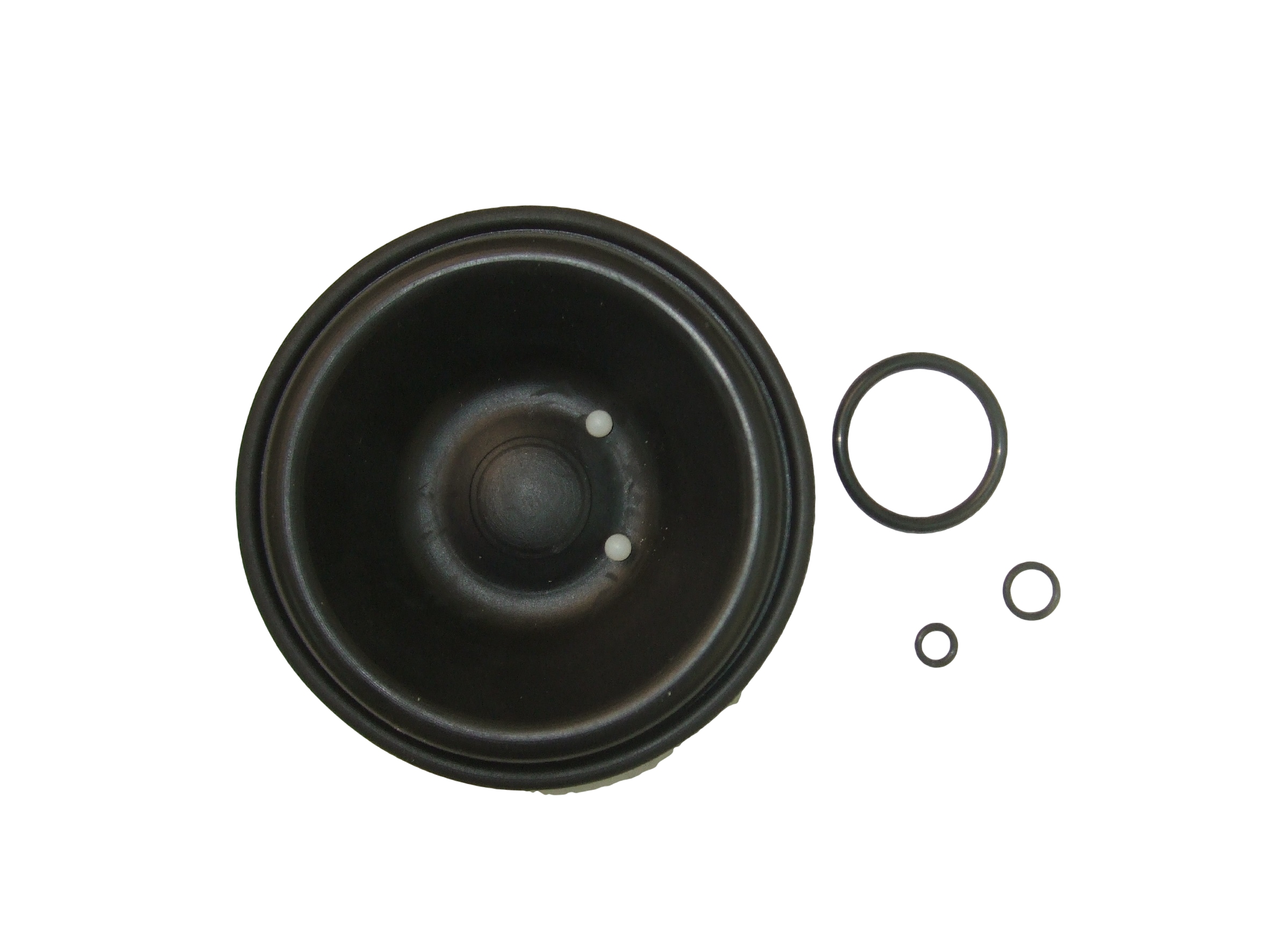 RH2619 (image for) RH2619